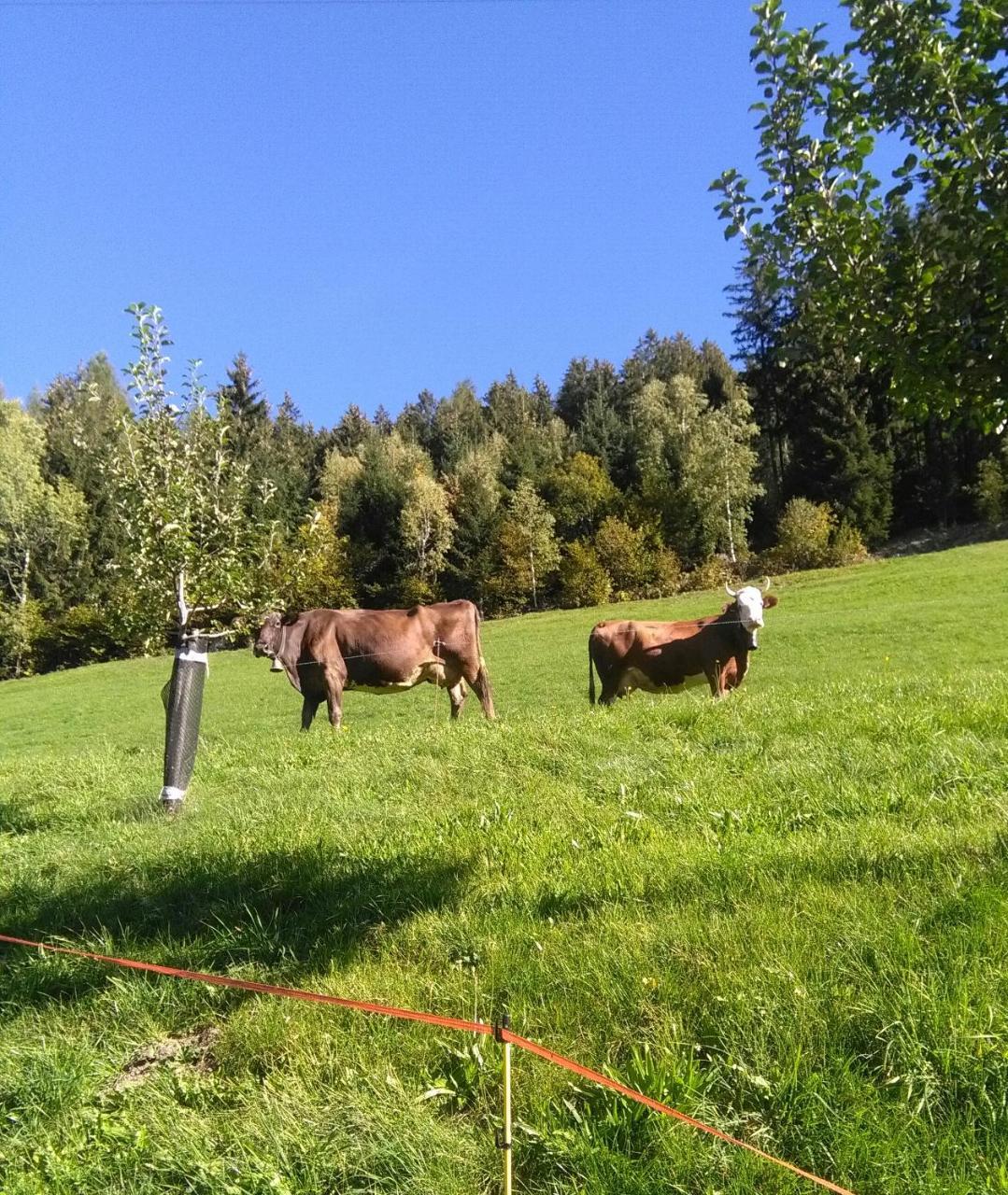 Apartament Stockhof Zell am Ziller Zewnętrze zdjęcie