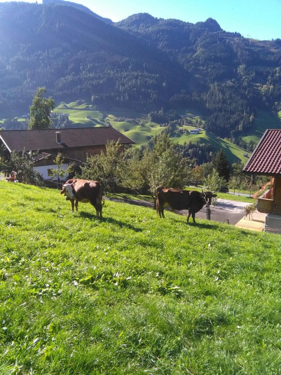 Apartament Stockhof Zell am Ziller Zewnętrze zdjęcie